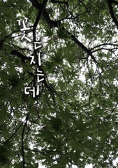 花は散るけど [이것저것 있는 곳]