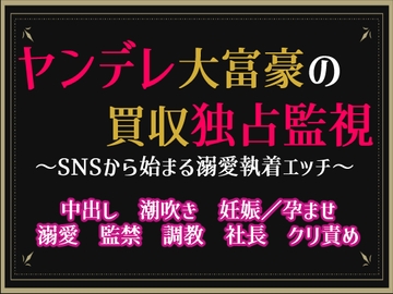 ヤンデレ大富豪の買収独占監視～SNSから始まる溺愛執着エッチ～ [隙間書房]