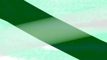 一月二十九 [不眠日]