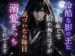 冷酷な影の王に手駒として拾われたはずが、気づいたら毎日溺愛エッチされてます [さけくま]