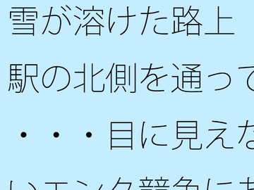 雪が溶けた路上 駅の北側を通って・・・・目に見えないエンタ競争にあっぷあっぷしながら [サマールンルン]