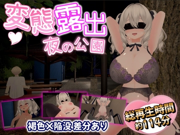 【全編3DCG】夜の公園で爆乳少女が絶頂オナニー [みいあろしゅつ]