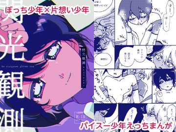 閃光観測 [秋田ま味]