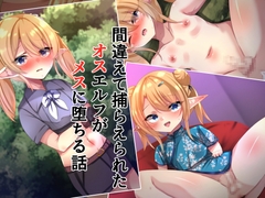 間違えて捕らえられたオスエルフがメスに堕ちる話 [××工房]