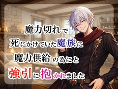 魔力切れで死にかけていた魔族に魔力供給の為と強引に抱かれました [宵凪]