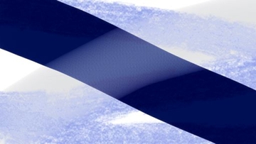 二月十一 [不眠日]