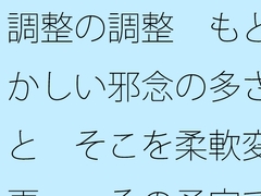 調整の調整 もどかしい邪念の多さと そこを柔軟変更・・その予定でいいのか [サマールンルン]