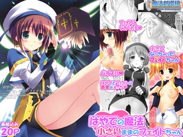 はやての魔法「小さいままのフェイトちゃん」 [魔法新撰組]