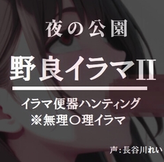 夜の公園ー野良イラマ2【夜道はイラ魔に要注意】 [玲の部屋]