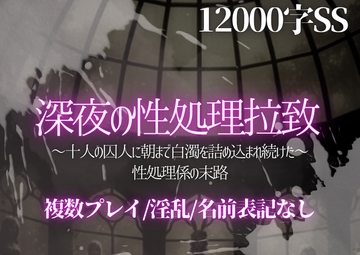 深夜の性処理拉致〜十人の囚人に朝まで白濁を詰め込まれ続けた性処理係の末路〜 [ぽめ]