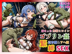 捕まった無職ヒロインがゴブリン姦で緊縛されて泣き顔&アヘ顔SEX！【ロキシー・エリス・シルフィ編】