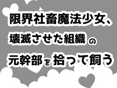 限界社畜魔法少女、壊滅させた敵組織の元幹部を拾って飼う [こならし]