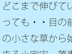 どこまで伸びていっても・・目の前の小さな草から始まる小宇宙 落書きノートに投影して・・ [サマールンルン]