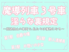 魔導列車3号車 淫らな裏規定 ～拒絶禁止の車両で、私たちは獲物になる～ [桜結び]