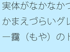 実体がなかなかつかまえづらいグレー靄(もや)のトンネルの中を 細微が問題になる [サマールンルン]
