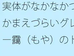実体がなかなかつかまえづらいグレー靄(もや)のトンネルの中を 細微が問題になる