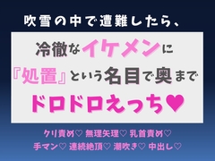 吹雪の中で遭難したら、冷徹なイケメンに『処置』という名目で奥までドロドロえっち♡ [蜜りんご]