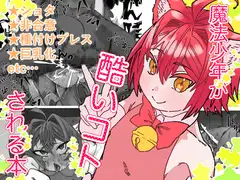 魔法少年が酷いコトされる本