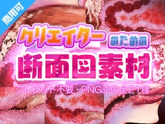 クリエイターのための断面図素材2 [ふぁっちゅ]