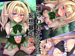 捕らわれエルフは妄想暴走エロフ [××工房]