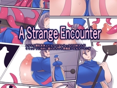 A Strange Encounter [おらんげぱうだー]