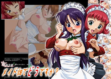 メイド畑でどうですか? [家庭菜園]