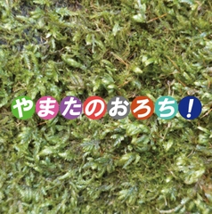 $maker.product.alt_name