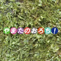 やまたのおろち！
