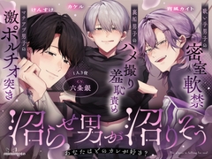 【CV.六条銀×1人3役】「あなたはどのカレが好き?」裏垢男子のハメ撮り羞恥責め/マチアプ男子の激ポルチオ突き/歌い手男子の密室軟禁〈沼らせ男が沼りそう〉 [mimimoto]