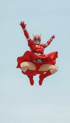 美しき稲妻、湖底に舞う！仮面ライダー・フレア:水底の裁きと逆さ吊りの罠 [Yamato]