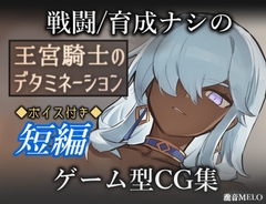 王宮騎士のデタミネーション [瀧音MELO]