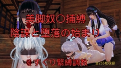 美脚奴〇捕縛 陰謀と堕落の始まり [美脚調教工房]