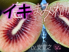 『イキまみれ』【特典付き】吐息舐め息吸い息噛み息ため息ささやき……イキまみれ―――♡         ワントラックでおくる耳元にふり注ぐイキ(息)の波 ♡ [CAnDY BIBInBA]