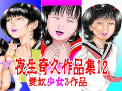夜生奇久作品集12 愛奴少女3作品