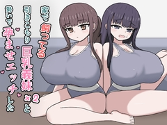 家で飼ってる引きこもり巨乳義妹×2と勢いで孕ませエッチした [にしかわ屋]
