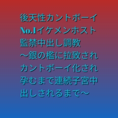 後天性カントボーイ No.1イケメンホスト監禁中出し調教 ～銀の檻に拉致されカントボーイ化され孕むまで連続子宮中出しされるまで～ [凜音]