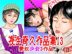 夜生奇久作品集13 愛奴少女3作品