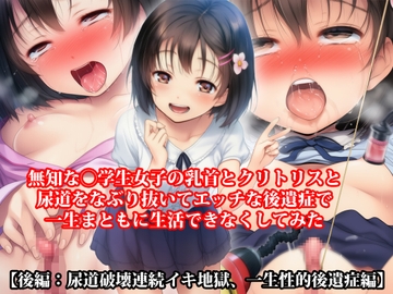 『無知な◯学生女子の乳首とクリトリスと尿道をなぶり抜いてエッチな後遺症で一生まともに生活できなくしてみた【後編:尿道破壊連続イキ地獄、一生性的後遺症編】』