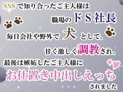 SNSで知り合ったご主人様は職場のドS社長。毎日会社や野外で犬として甘く激しく調教され、最後は嫉妬したご主人様にお仕置き中出しえっちされました [宵凪の森]