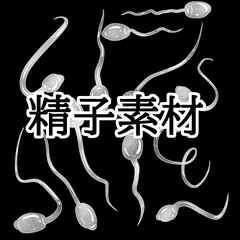 精子素材 [水の木]