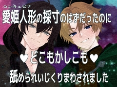 愛姫人形の採寸のはずだったのにどこもかしこも舐められいじくりまわされました [桜結び]
