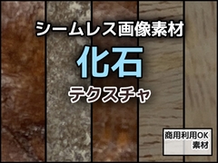 化石のテクスチャ/シームレス画像素材～商用成人利用OKの著作権フリー [商用利用OK素材]