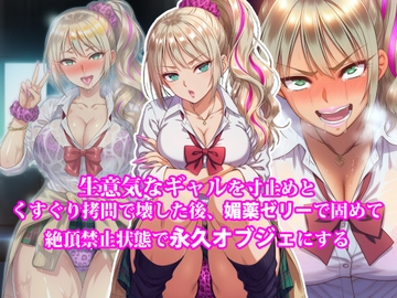 『生意気なギャルを寸止めとくすぐり拷問で壊した後、媚薬ゼリーで固めて絶頂禁止状態で永久オブジェにする』