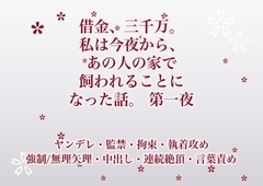 借金、三千万。私は今夜から、あの人の家で飼われることになった話。 第一夜 [ふわっ堂]