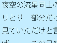夜空の流星同士のやりとり 部分だけを見ていただけと言えば・・ この日もポケットに携えて [サマールンルン]