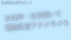 【乳首責め】おほ声出して白目剥くまで、乳首いじめてあげる [青葉]