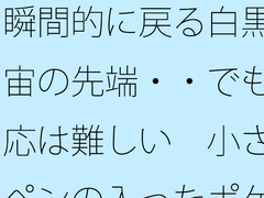 瞬間的に戻る白黒宇宙の先端・・でも対応は難しい 小さなペンの入ったポケットの中 [サマールンルン]