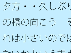 夕方・・久しぶりの橋の向こう それは小さいのではないかという視点 凝縮されたような今の小ささ [サマールンルン]