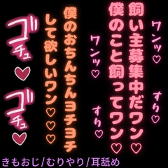 【きもおじ/無理矢理/耳舐め/抜かずの連射】自認犬の変態おじさんにご主人様認定されて犯されちゃう君 [おじさんの欲望♡]