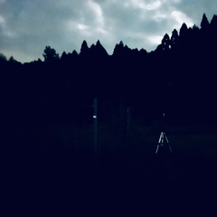 秋の虫04(HPLバイノーラル) [UZrecords]